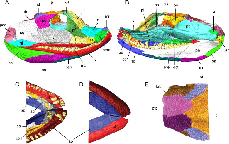 Fig 3