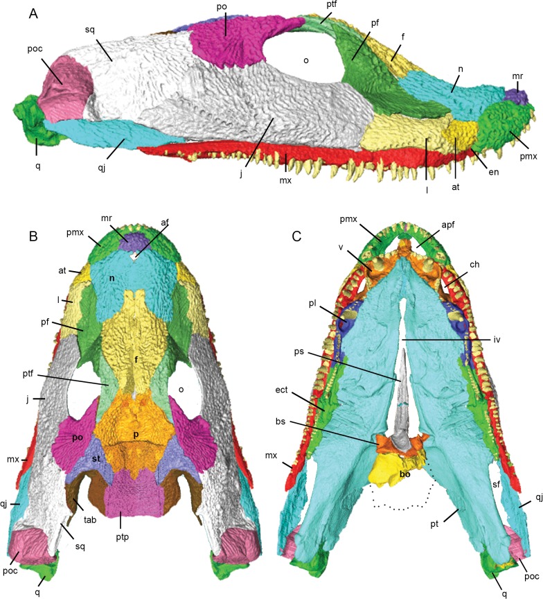 Fig 4