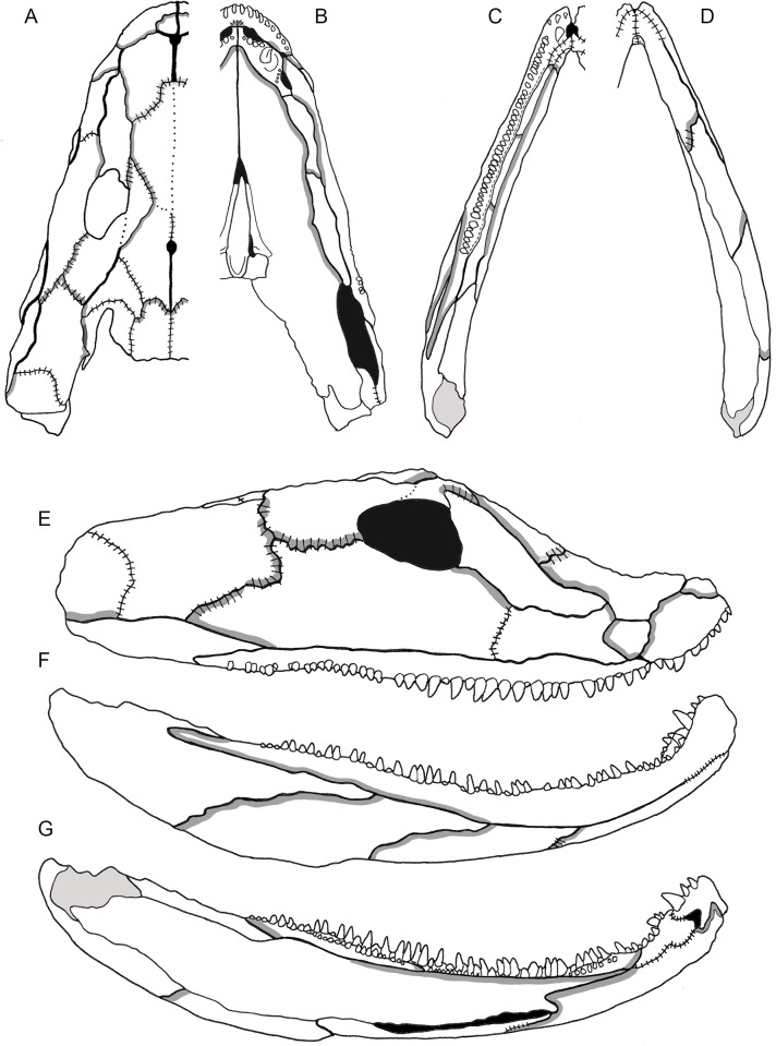 Fig 9