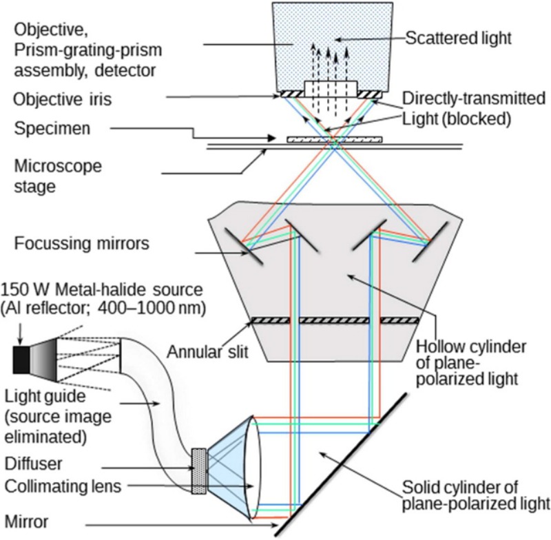 Fig. 2