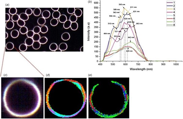 Fig. 11