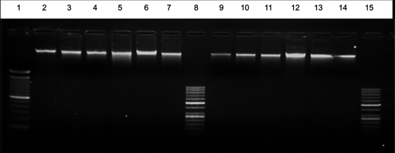 Figure 10