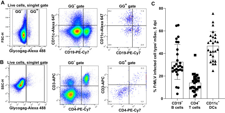 Figure 6—figure supplement 1.