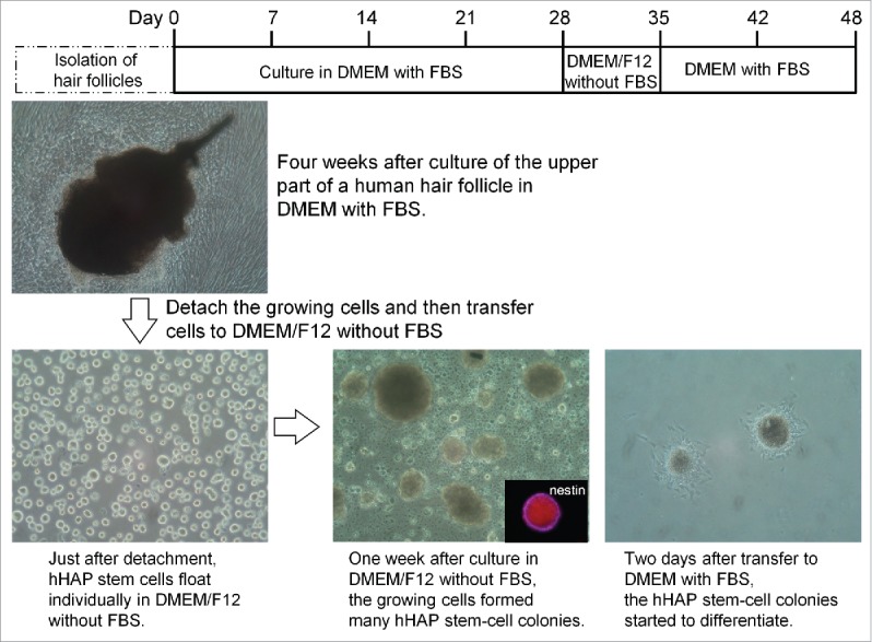 Figure 3.