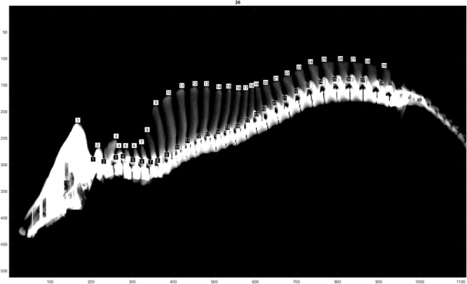 FIGURE 1