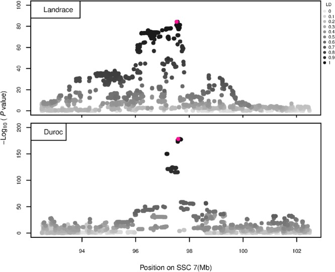 FIGURE 6