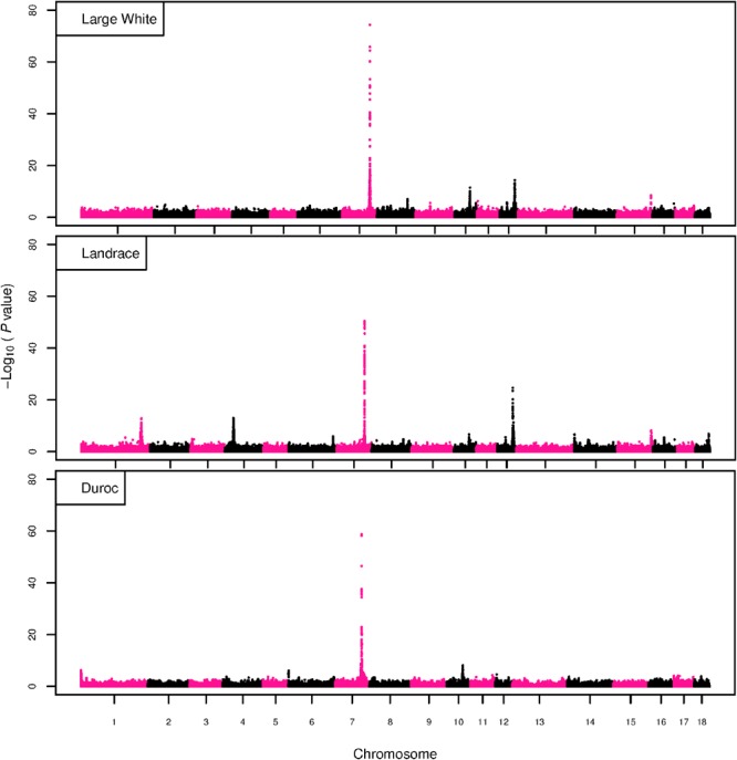 FIGURE 3