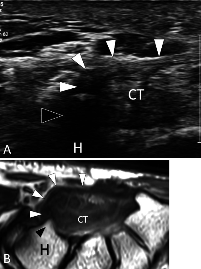 Fig. 8