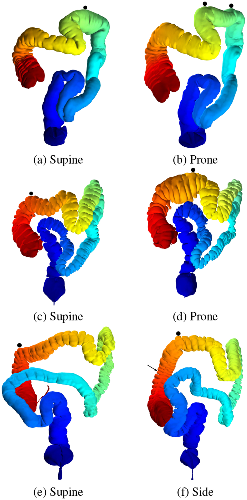 Fig. 13: