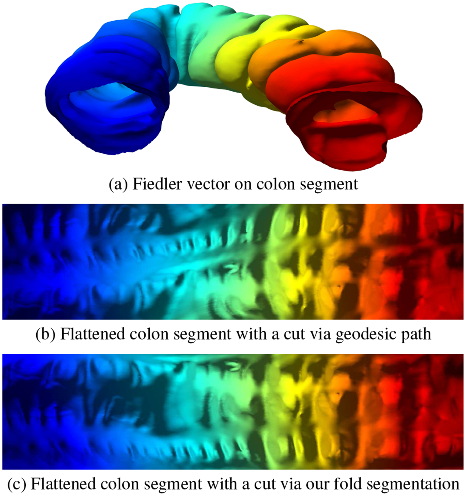 Fig. 8: