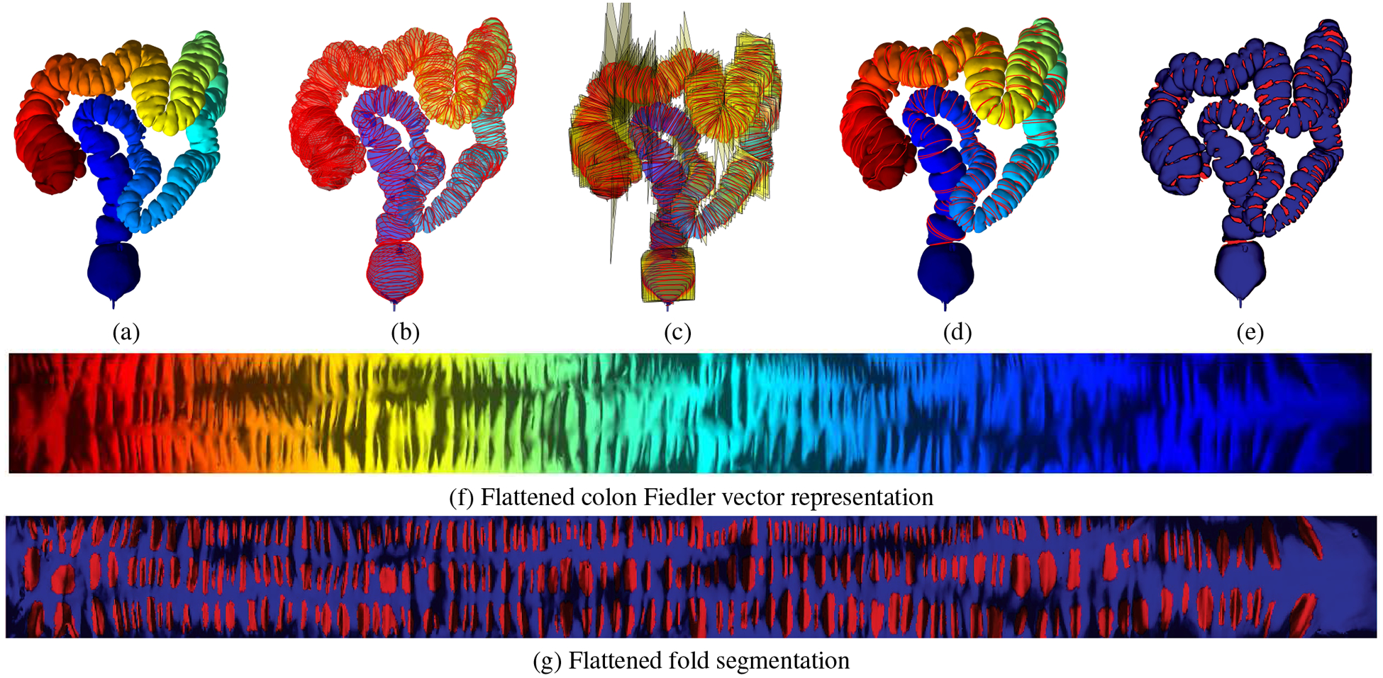 Fig. 6: