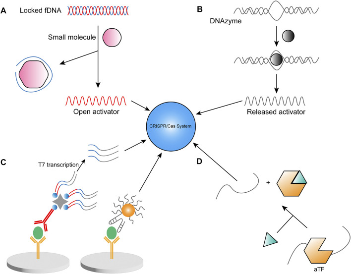 FIGURE 4