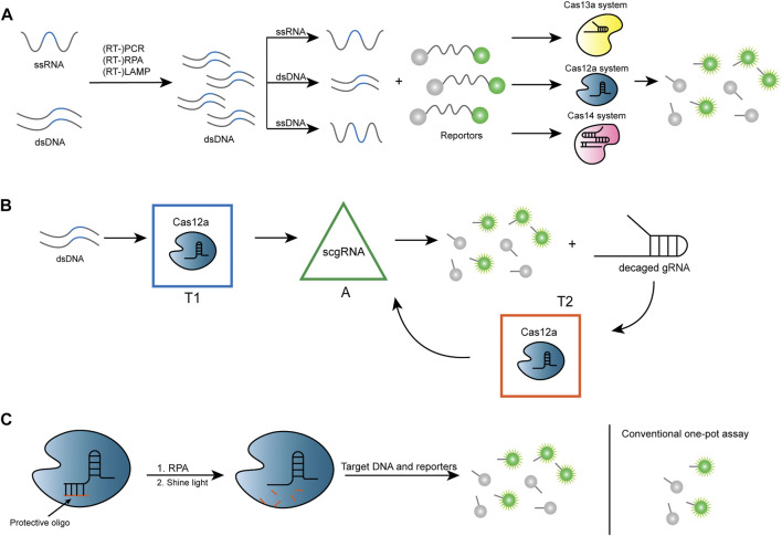 FIGURE 3