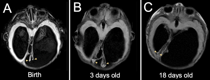 FIG. 5.