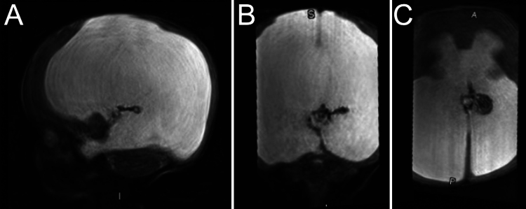 FIG. 1.