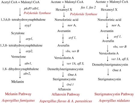 Fig. 3