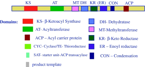 Fig. 2