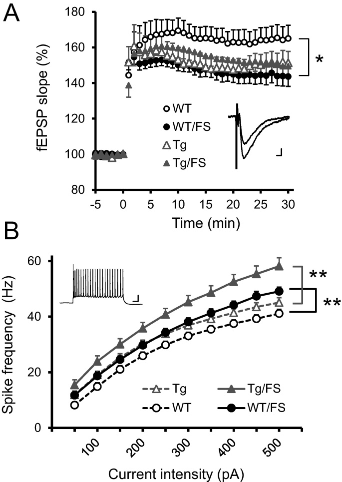 Fig. 3