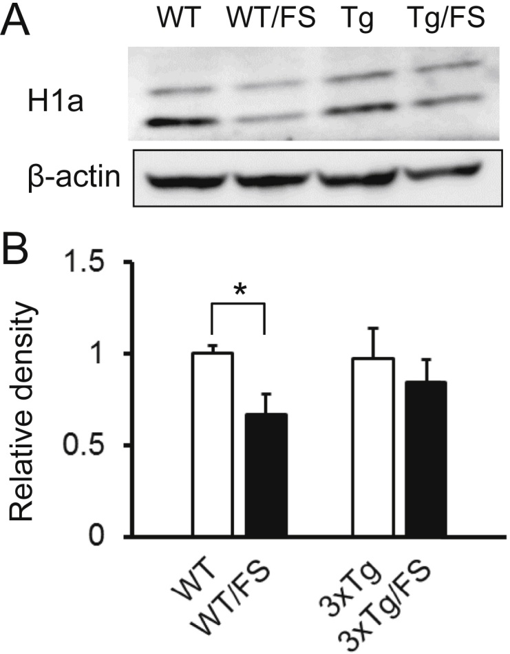 Fig. 4