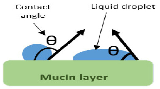 graphic file with name pharmaceutics-13-01685-i001.jpg