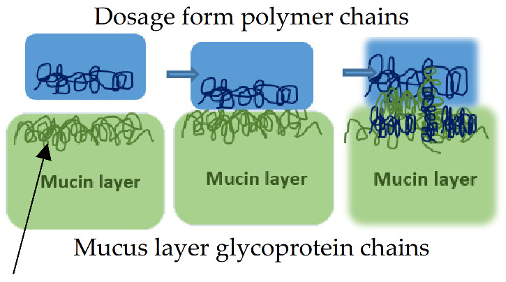 graphic file with name pharmaceutics-13-01685-i005.jpg