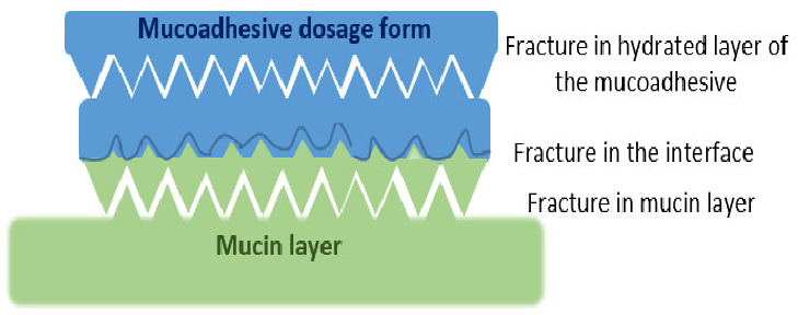 graphic file with name pharmaceutics-13-01685-i006.jpg