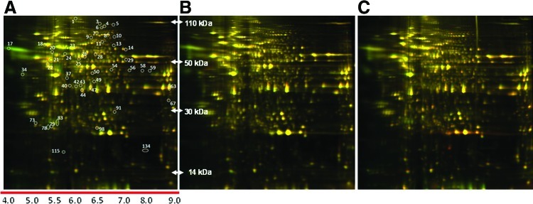 FIG. 3.