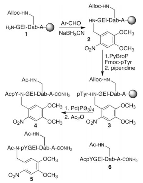 Scheme 1