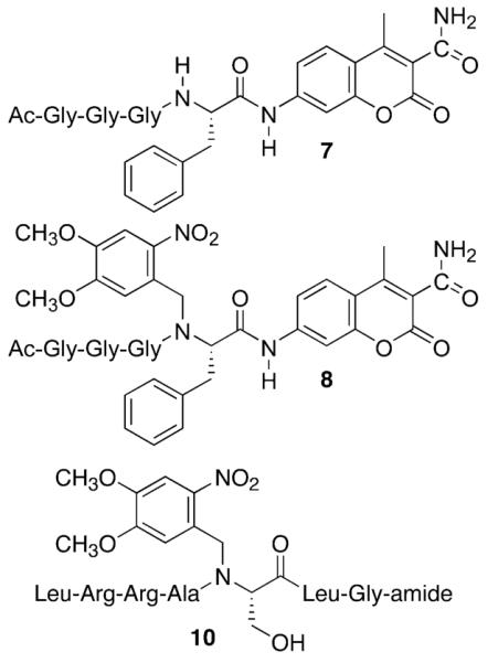 Scheme 2