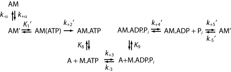 Scheme 1.