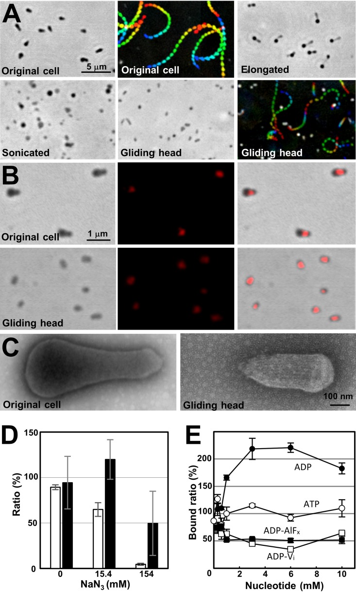 FIG 4