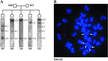 Fig 3.