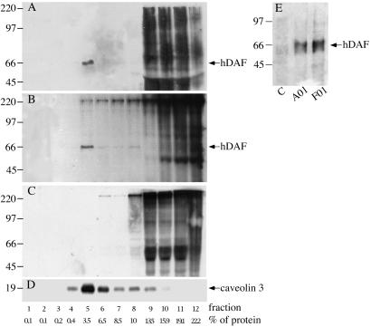 Fig 4.