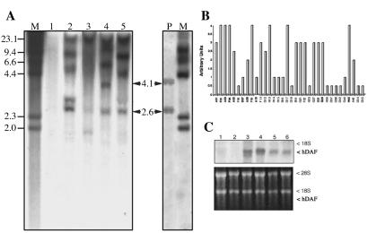 Fig 2.