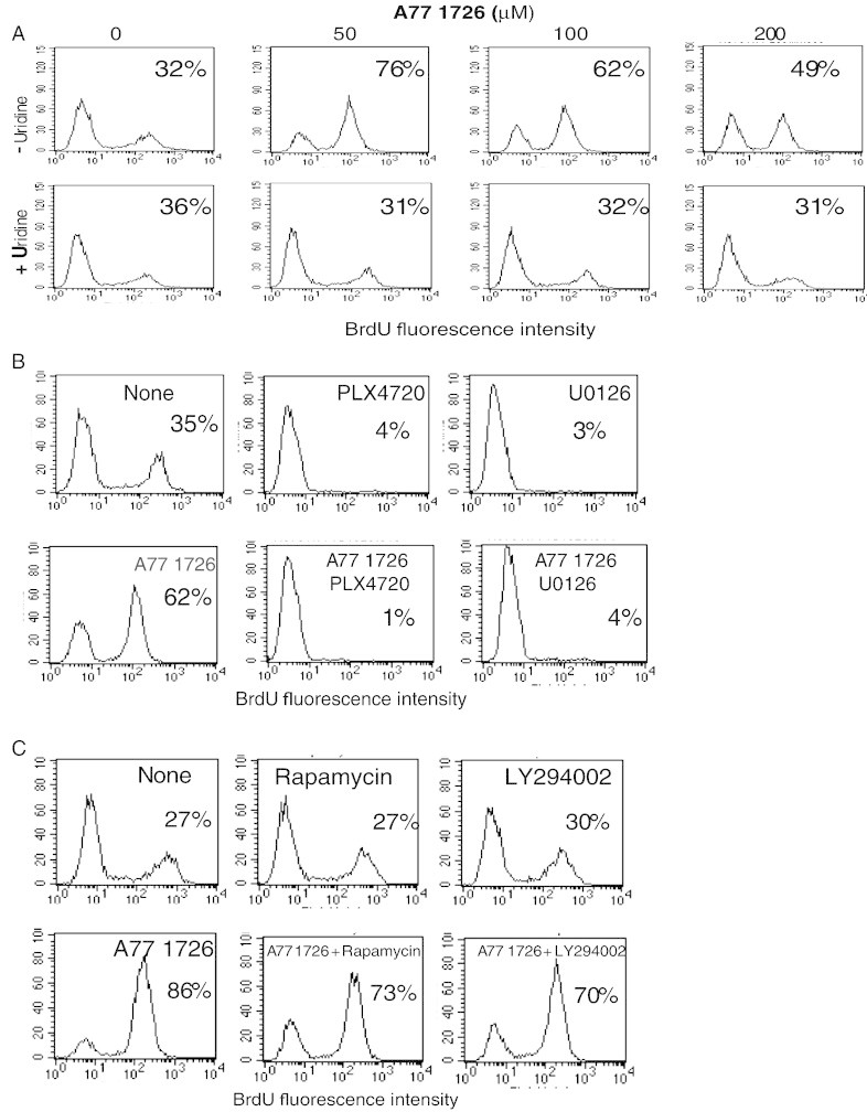 Figure 6