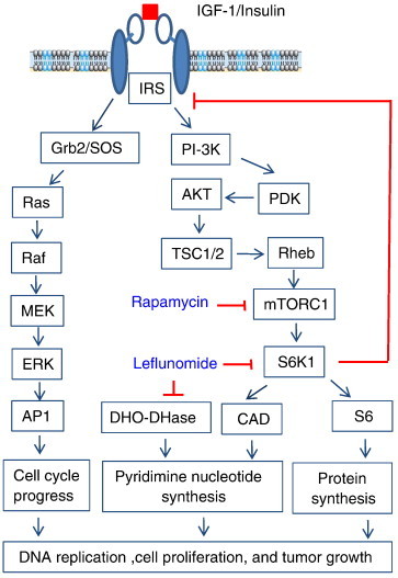 Figure 7