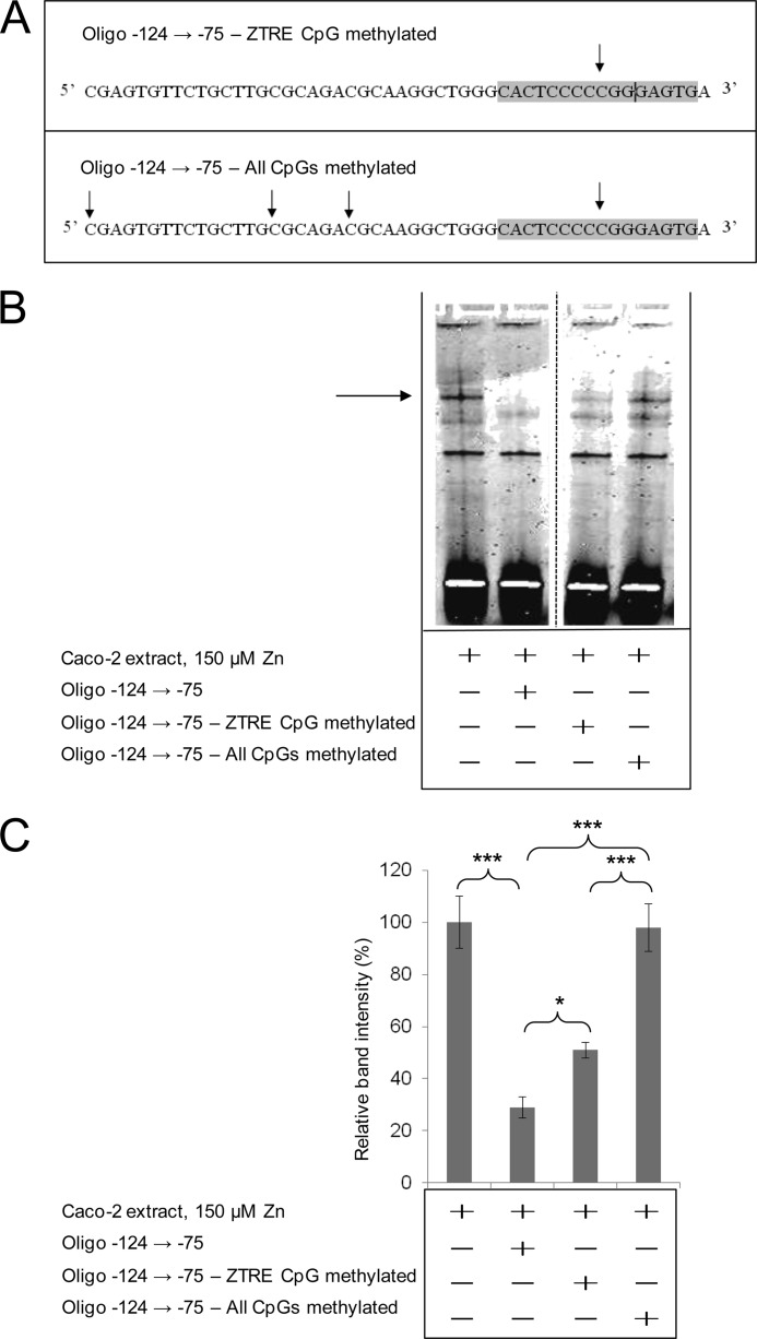 FIGURE 10.