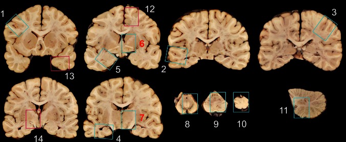 Fig. 6