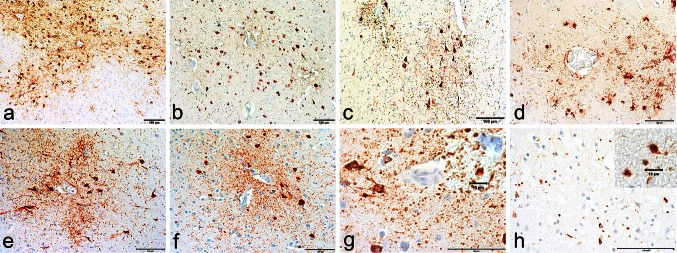 Fig. 2