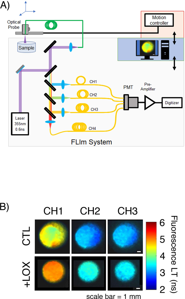 Figure 2.