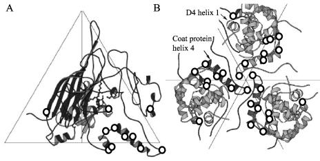 FIG. 5.