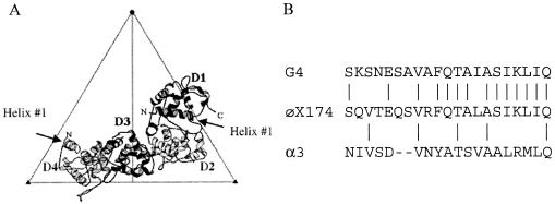 FIG. 2.