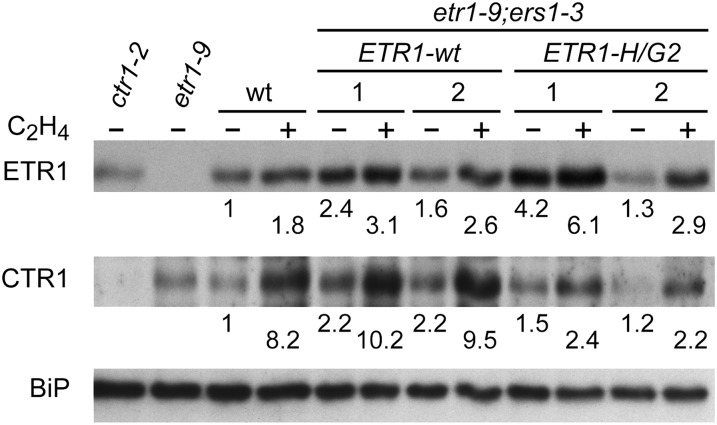 Figure 7.