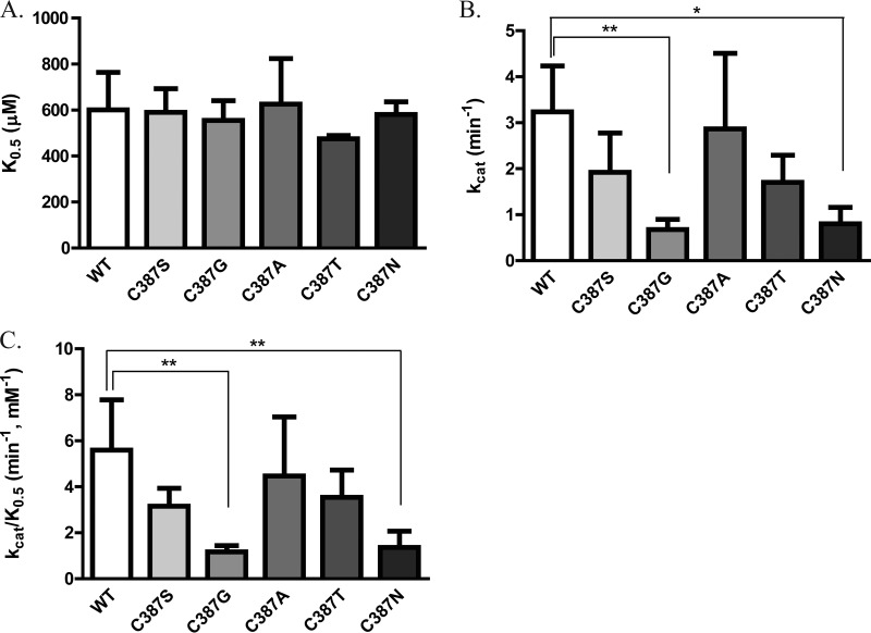 FIG 3