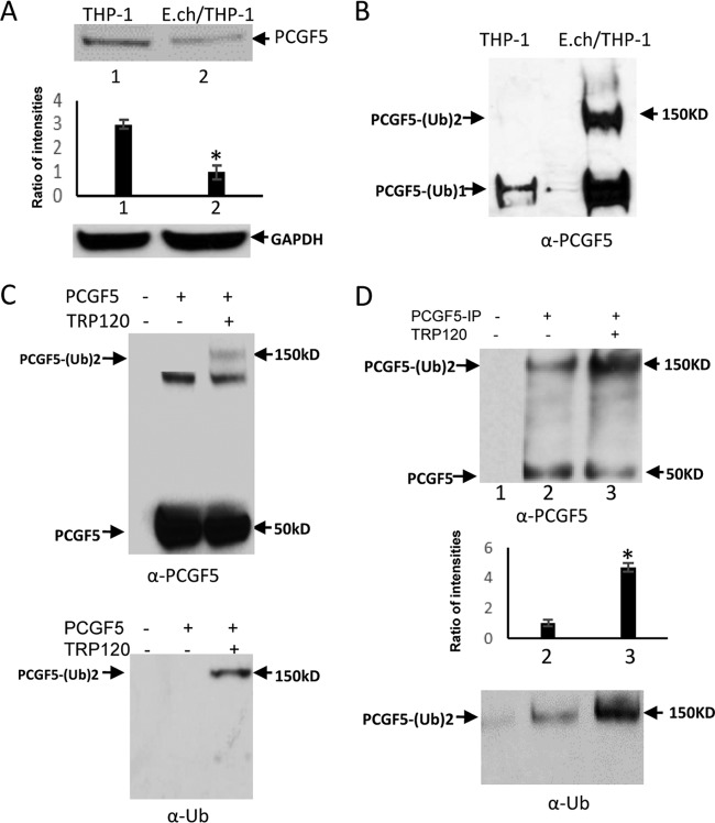 FIG 6