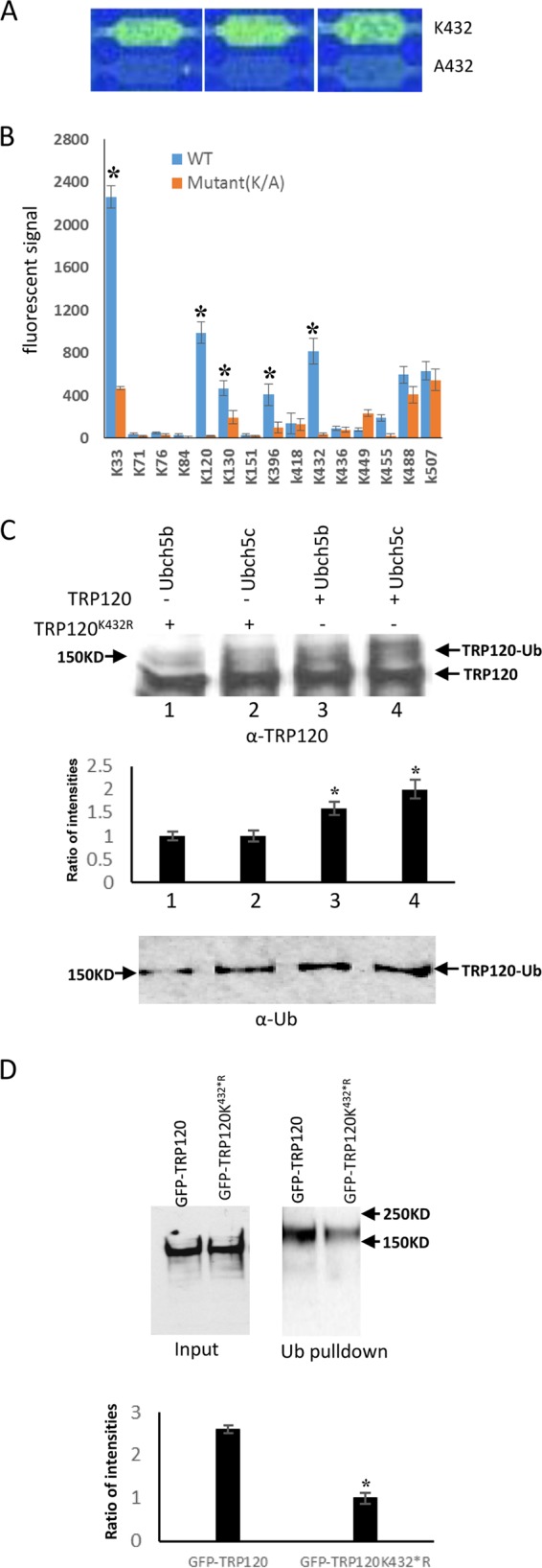 FIG 4