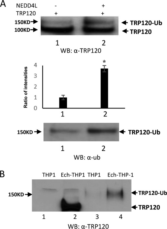 FIG 3