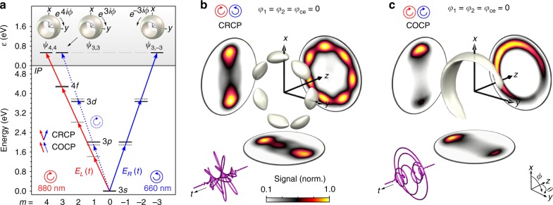 Fig. 3