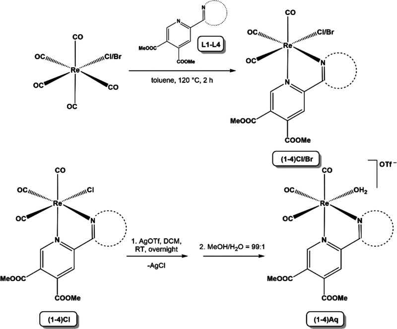 Scheme 1