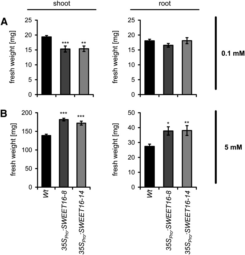 Figure 10.